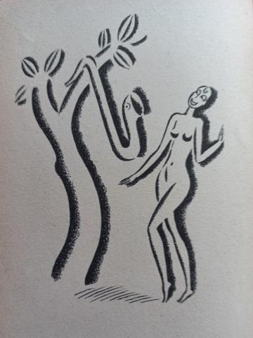 Josephine Baker in un'illustrazione di Bruno Angoletta